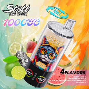 BANG LEADER 100K 100000 Puffs 4 in 1 Flavor Disposable Vape Rechargeable LED Display Mesh Coil Wholesale