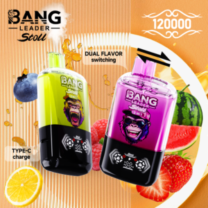 BANG LEADER 120K 120000 Puffs Dual Flavor Disposable Vape Magnetic Switch Rechargeable Mesh Coil Wholesale