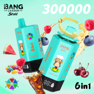 BANG LEADER 300K 300000 Puffs 6 in 1 Flavor Disposable Vape Rechargeable LED Display Dual Mesh Coil Wholesale