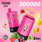 BANG LEADER 300K 300000 Puffs 6 in 1 Flavor Disposable Vape Rechargeable LED Display Dual Mesh Coil Wholesale - Image 5