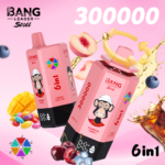BANG LEADER 300K 300000 Puffs 6 in 1 Flavor Disposable Vape Rechargeable LED Display Dual Mesh Coil Wholesale - Image 6
