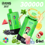 BANG LEADER 300K 300000 Puffs 6 in 1 Flavor Disposable Vape Rechargeable LED Display Dual Mesh Coil Wholesale - Image 7